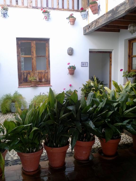 Cuevas Pedro Antonio De Alarcon Apartment Guadix Bagian luar foto